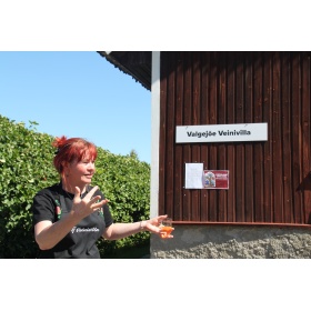 Koduveini tegemise kursus 07.07